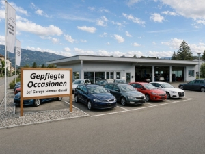 Gepflegte Occasionen